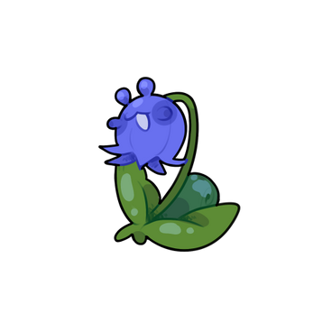 Bluebell Snail