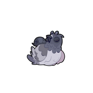 Pigeon Snail